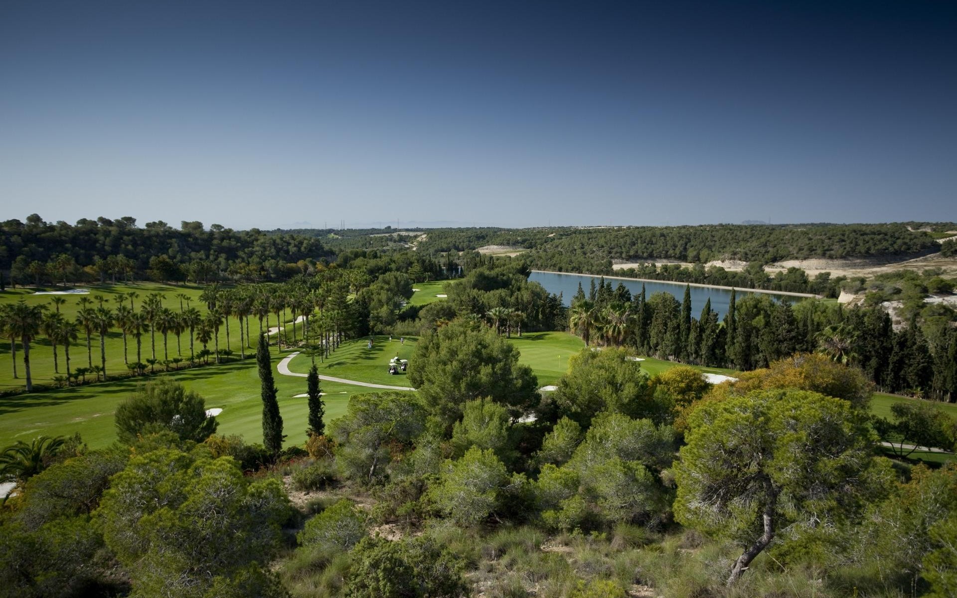 Neubau - Apartment - Campoamor