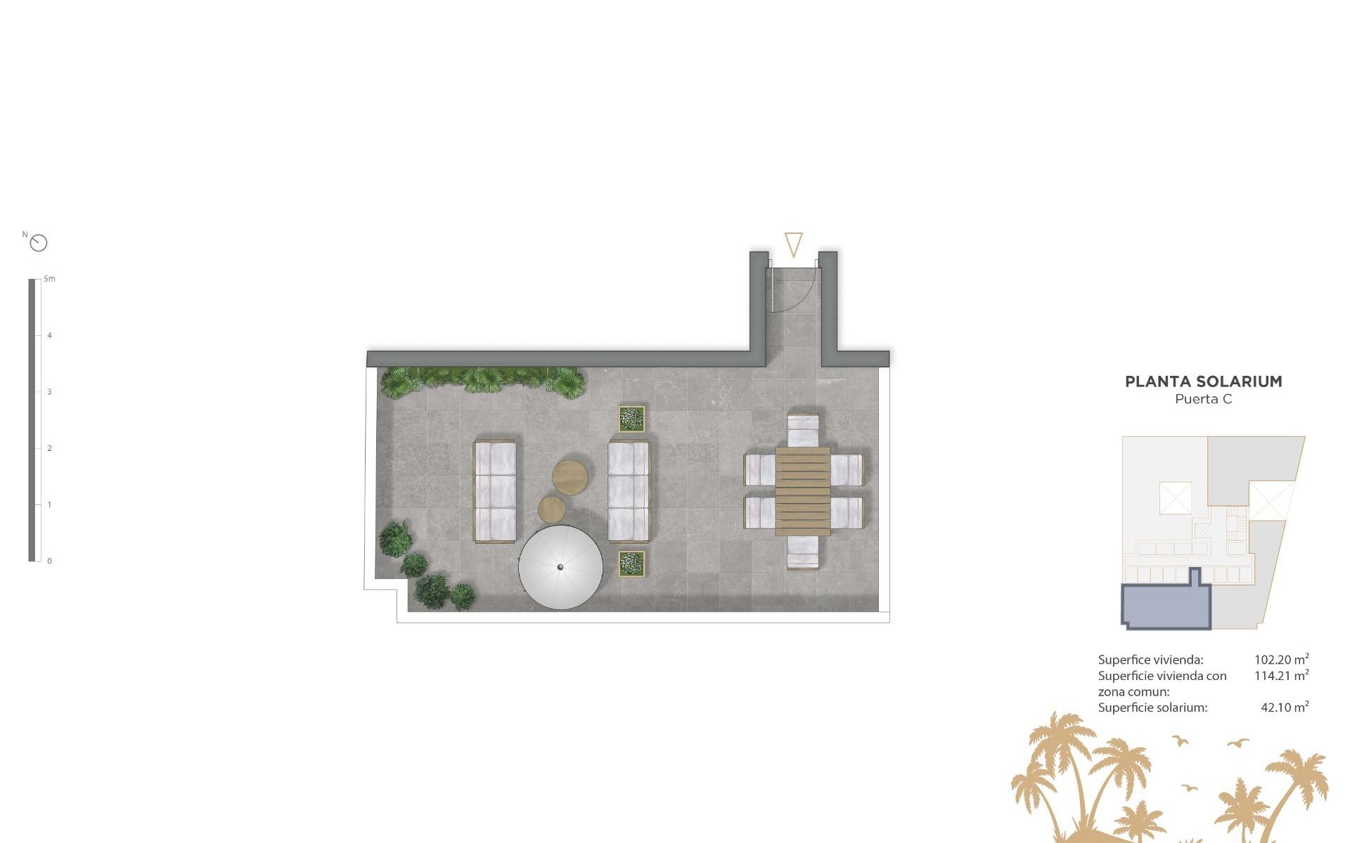 Neubau - Apartment - Guardamar Del Segura - Pueblo