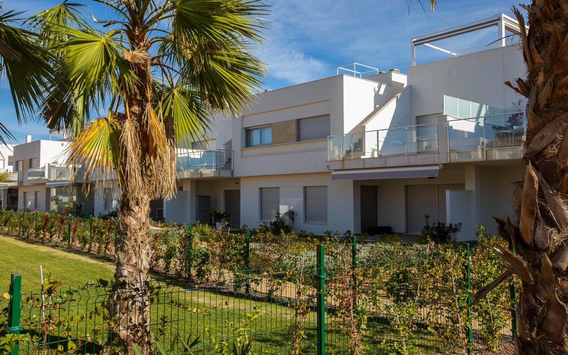 Neubau - Apartment - Los Montesinos - Entre Naranjos