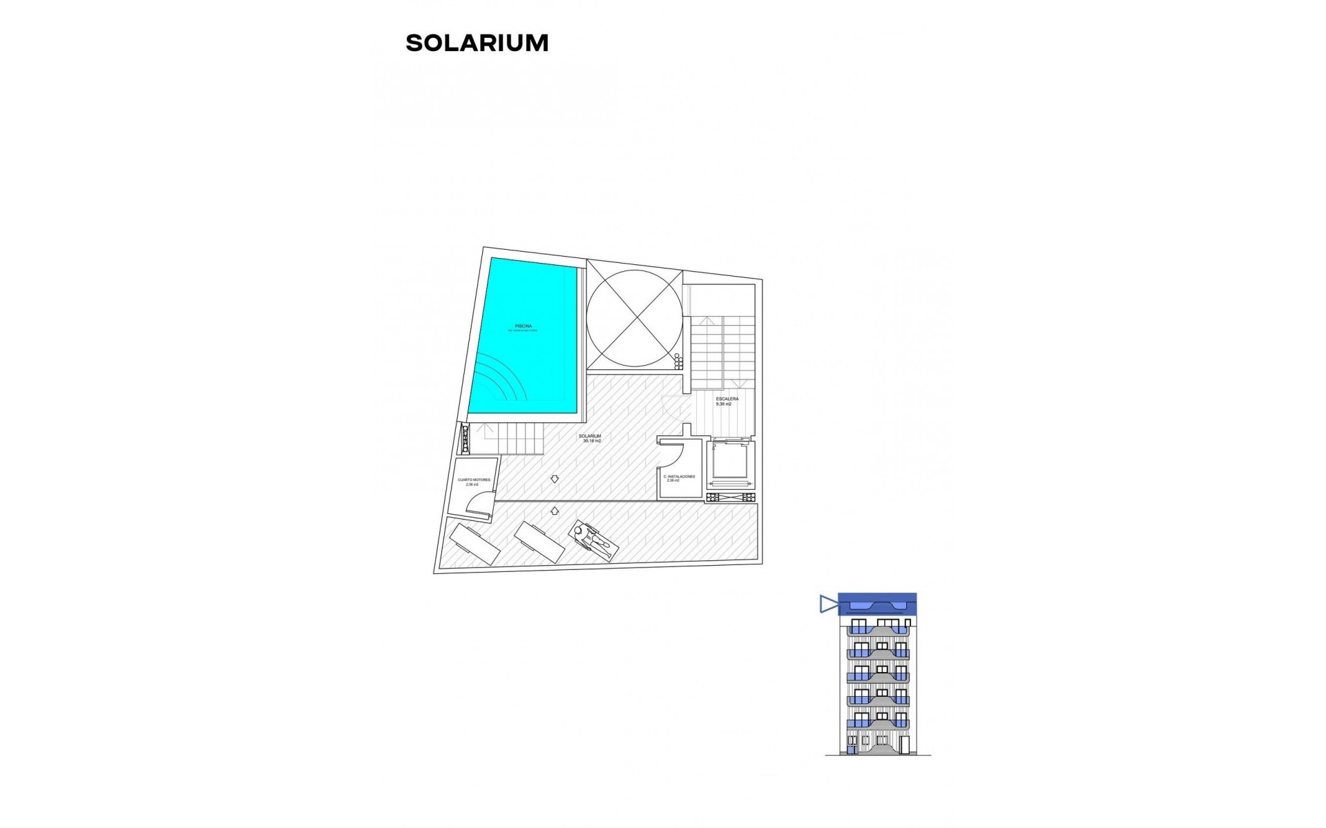 Neubau - Apartment - Torrevieja - Playa de los Locos