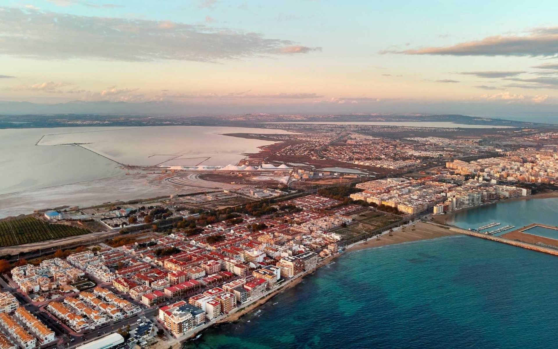 Neubau - Apartment - Torrevieja - Playa de los Locos