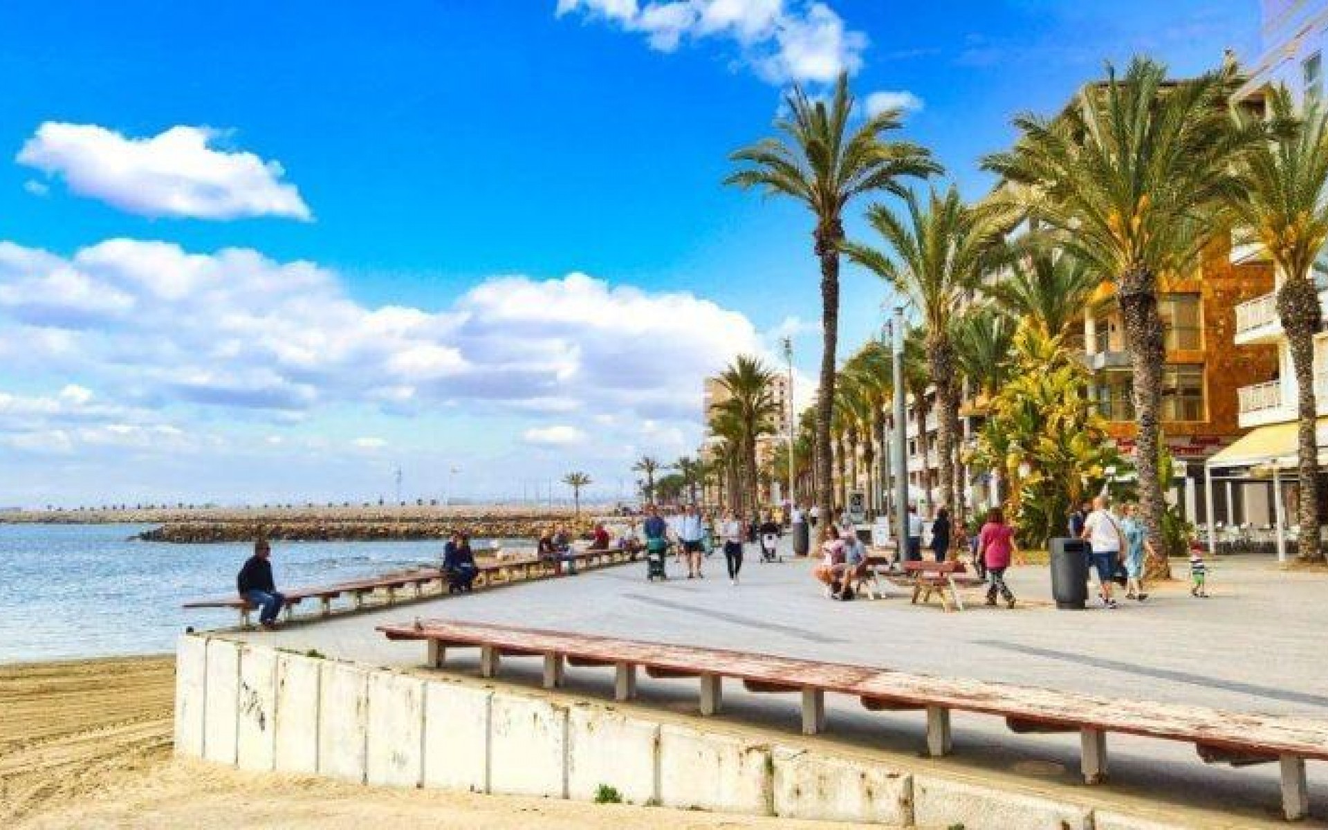 Neubau - Apartment - Torrevieja - Playa de los Locos