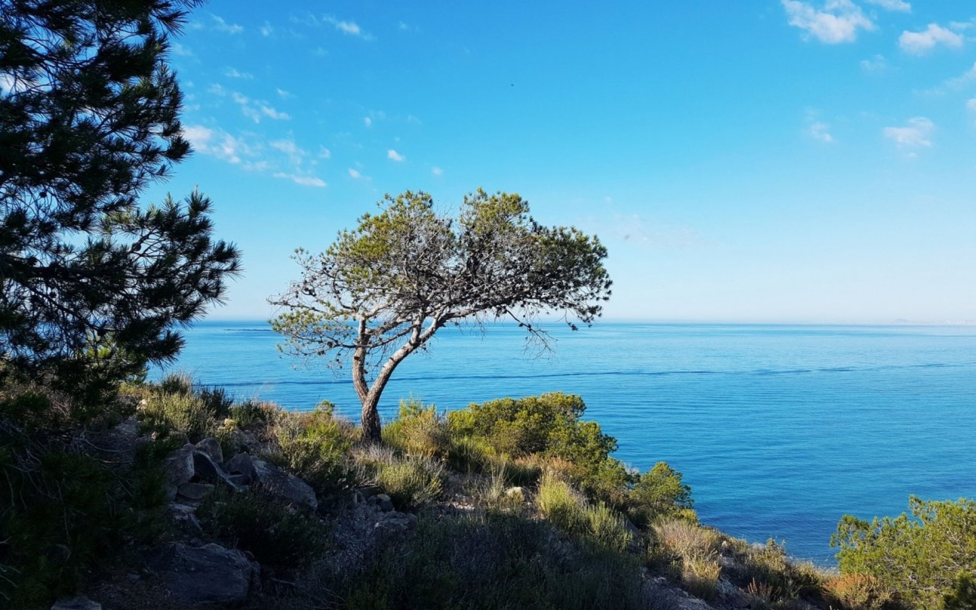 Neubau - Apartment - Villajoyosa - Playa Les Torres