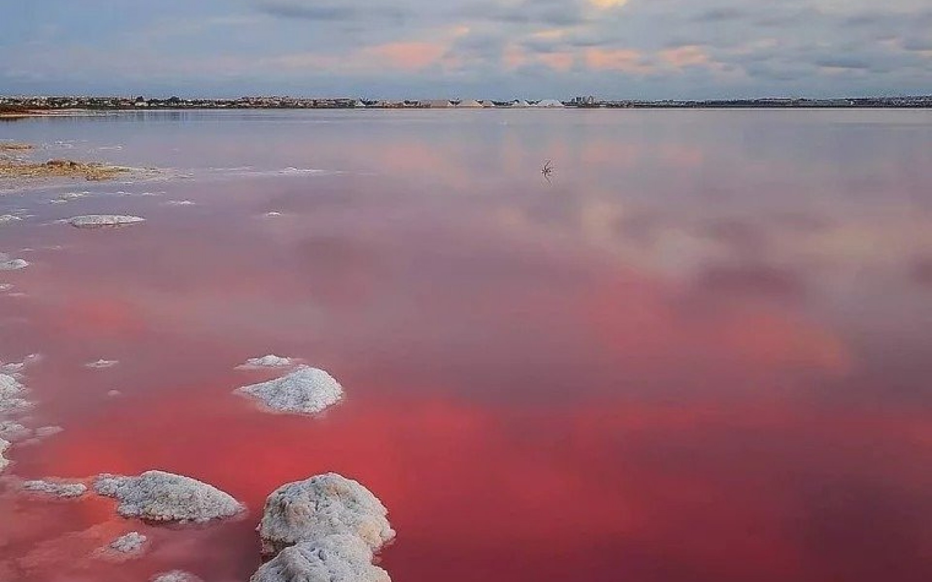 Neubau - Reihenhaus - Torrevieja - Lago Jardín II