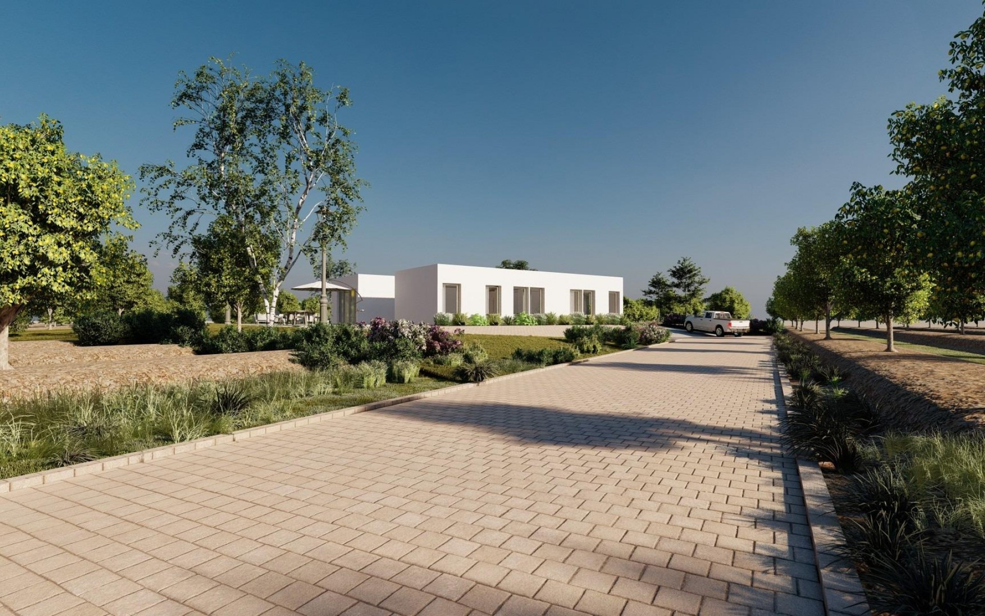 Neubau - Villa - Benejuzar - alta