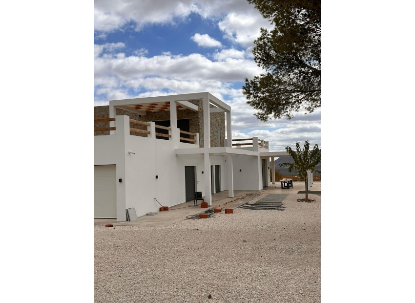 Neubau - Villa - Pinoso - Casas Pastor