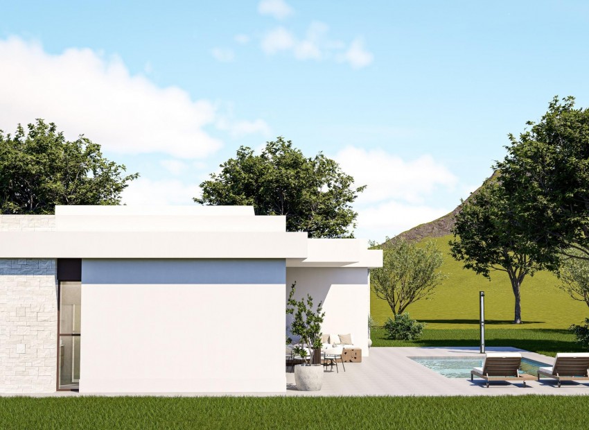 Neubau - Villa - Pinoso - Lel