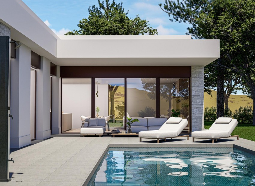 Neubau - Villa - Pinoso - Lel