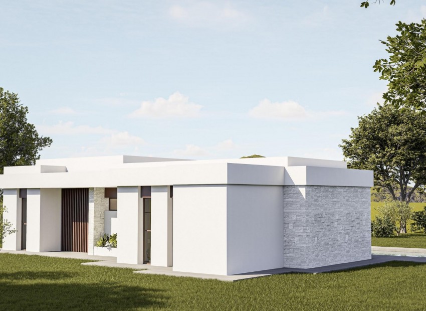 Neubau - Villa - Pinoso - Lel