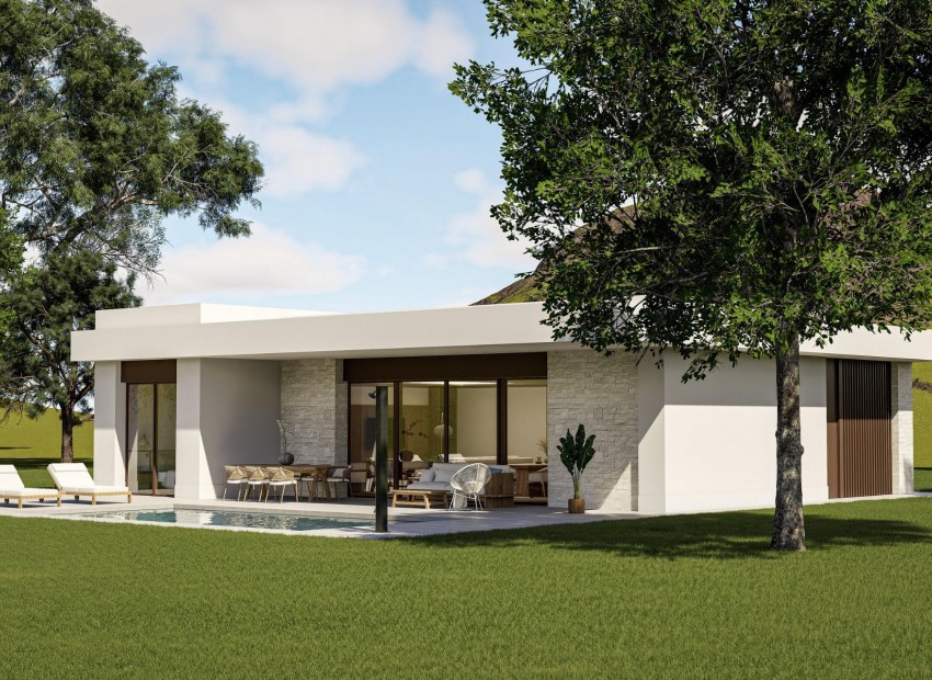 Neubau - Villa - Pinoso - Lel