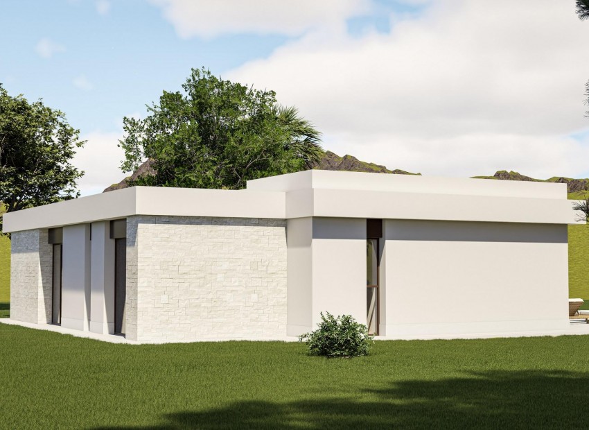 Neubau - Villa - Pinoso - Lel