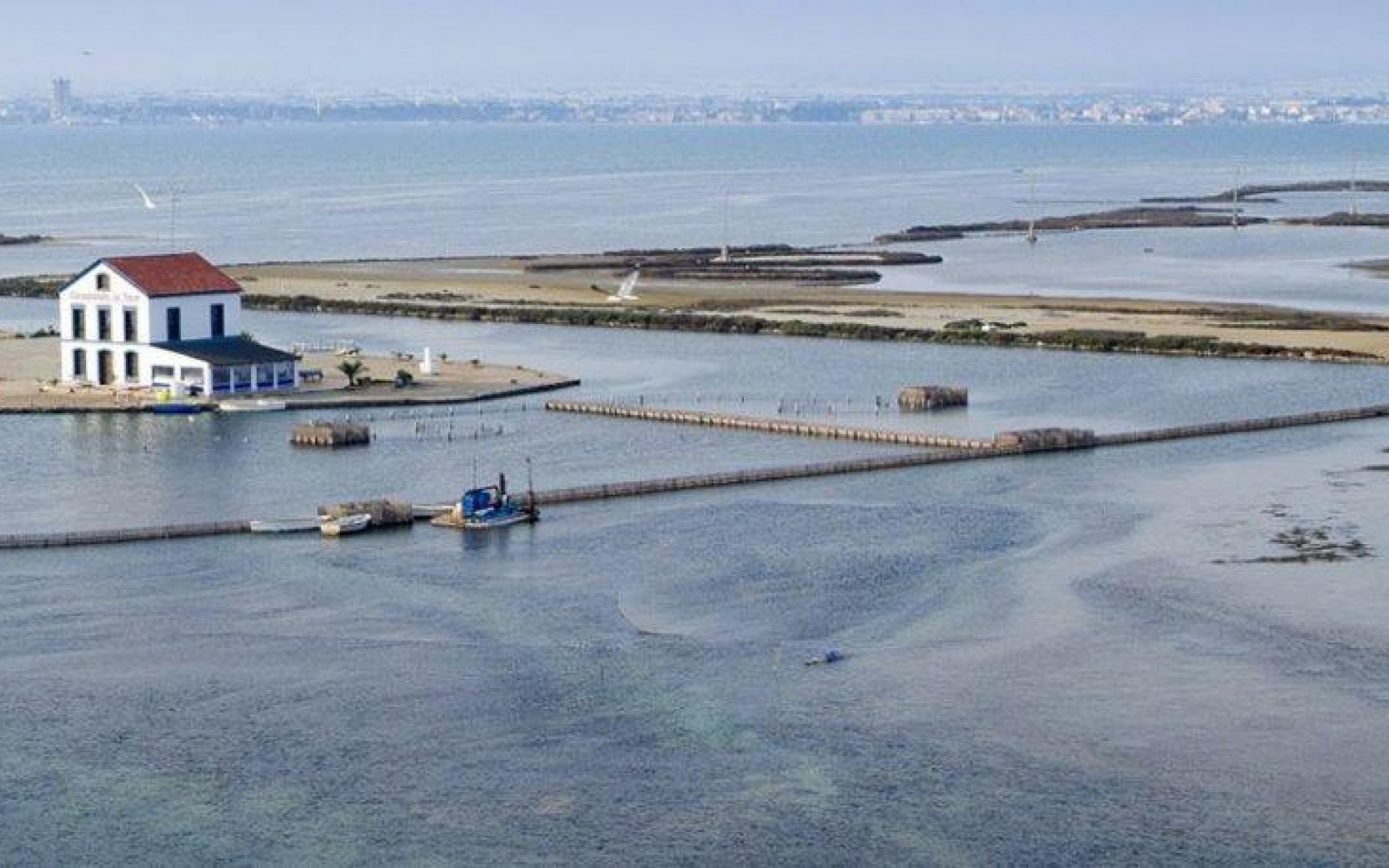 Neubau - Villa - San Pedro del Pinatar - Centro