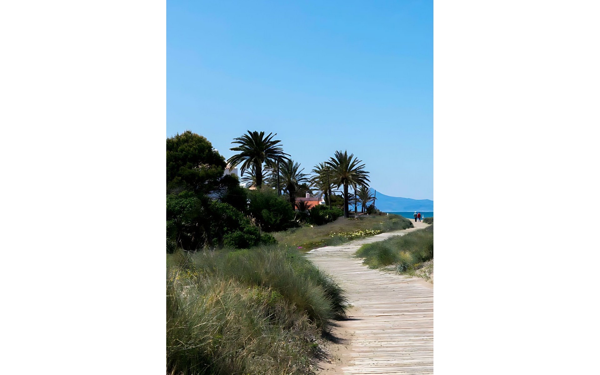 Neubau - Villa - Vergel (El Vergel) - El Verger - Vergel (El Vergel) - El Verger Centro