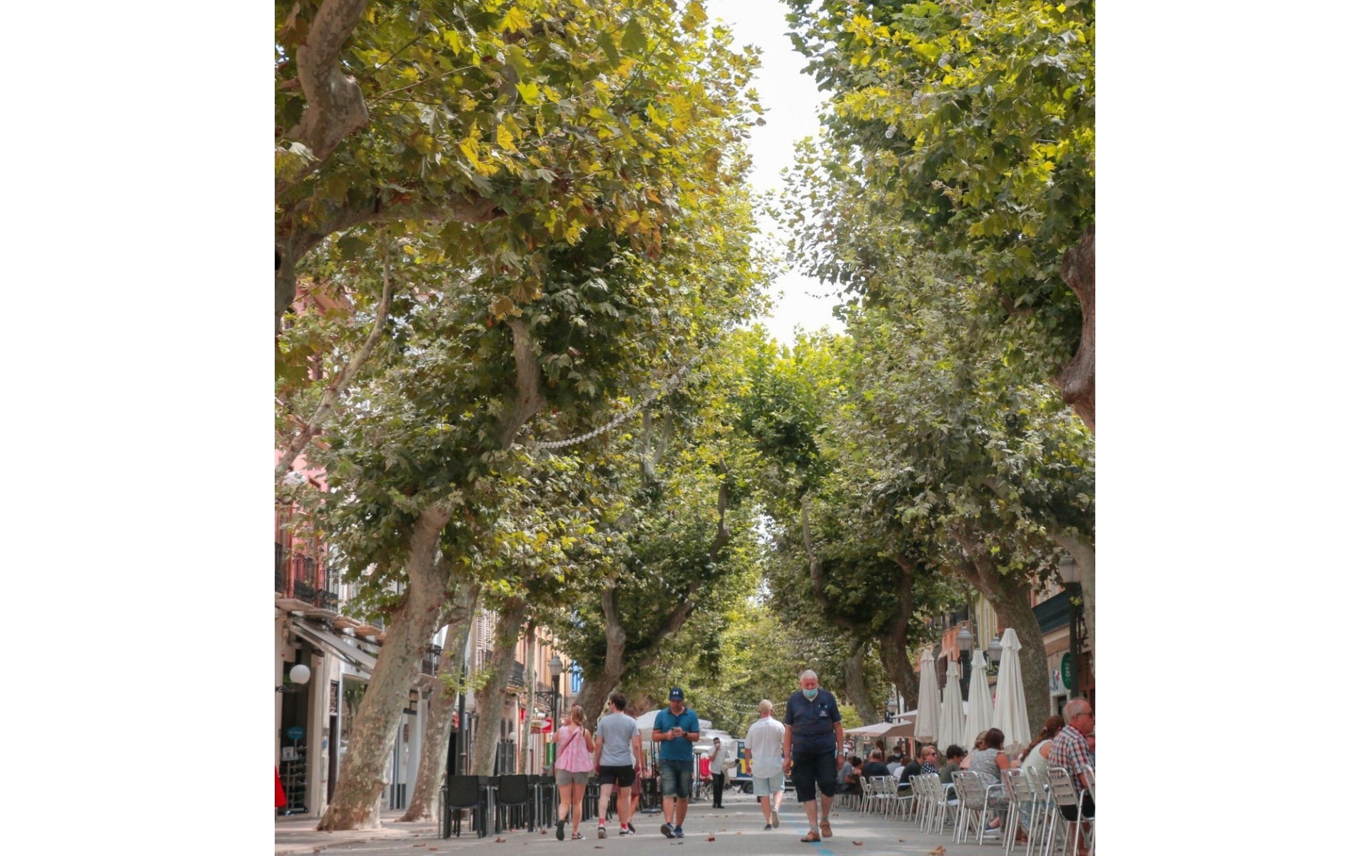 Neubau - Villa - Vergel (El Vergel) - El Verger - Vergel (El Vergel) - El Verger Centro