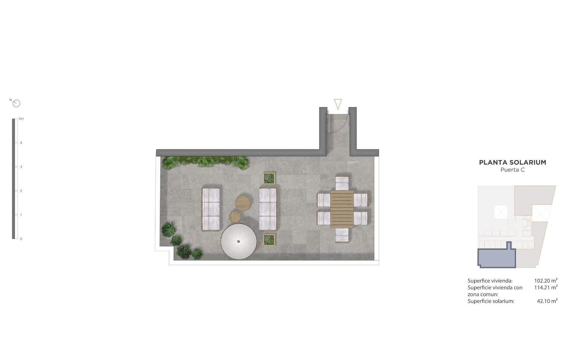 New Build - Apartment - Guardamar Del Segura - Pueblo
