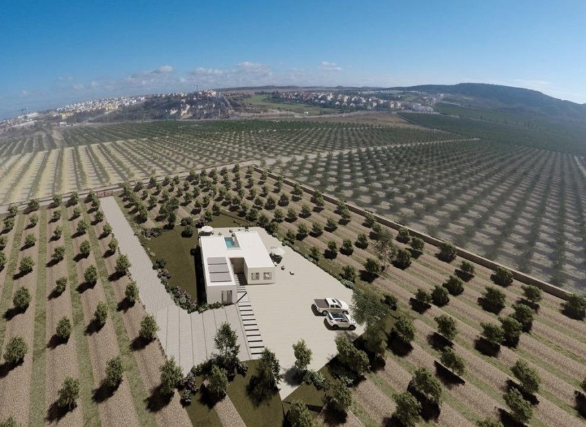 New Build - Villa - Algorfa