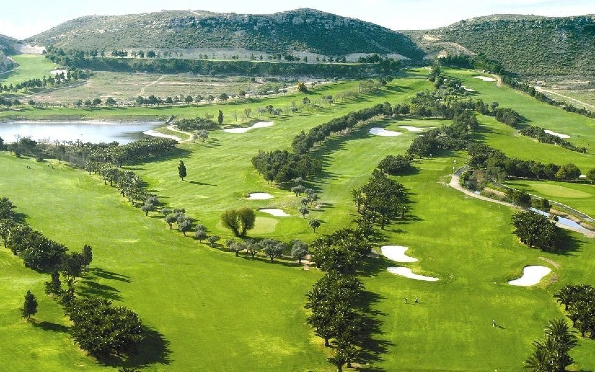 New Build - Villa - Baños y Mendigo - Altaona Golf