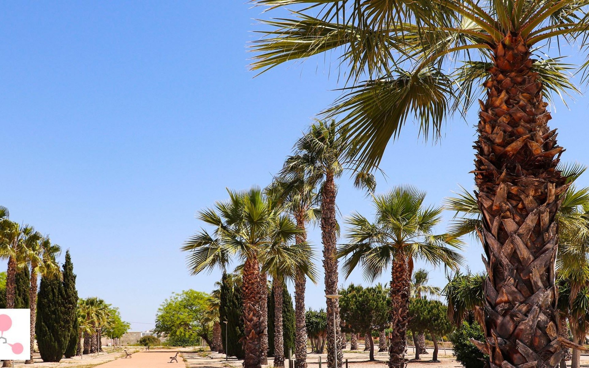 New Build - Villa - La Marina