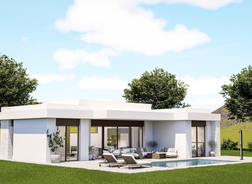 New Build - Villa - Pinoso - Lel