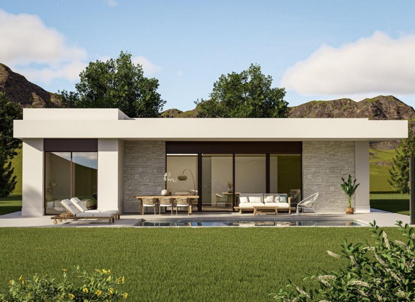 New Build - Villa - Pinoso - Lel