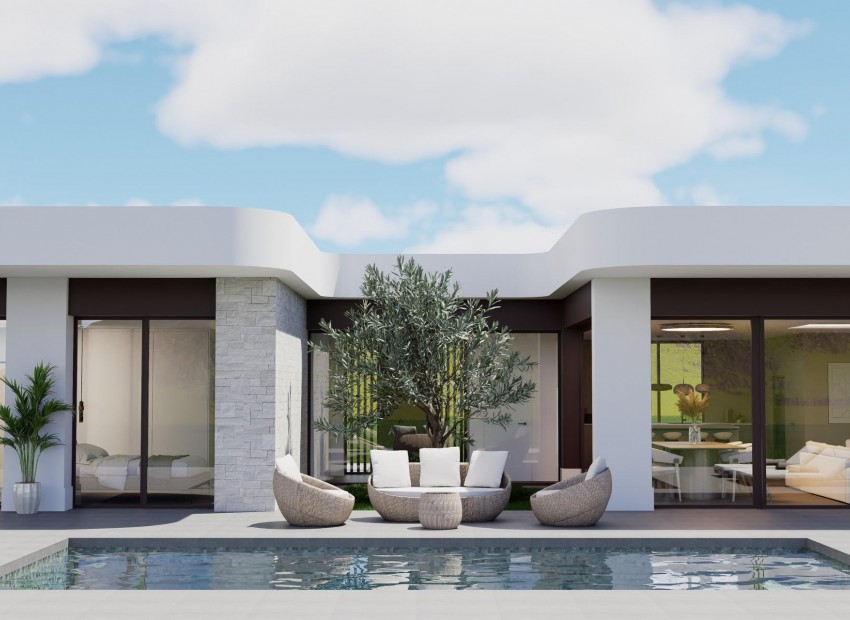 New Build - Villa - Pinoso - Lel