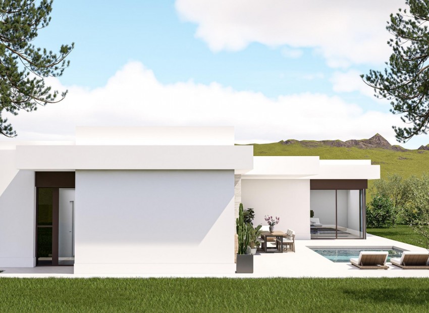 New Build - Villa - Pinoso - Lel