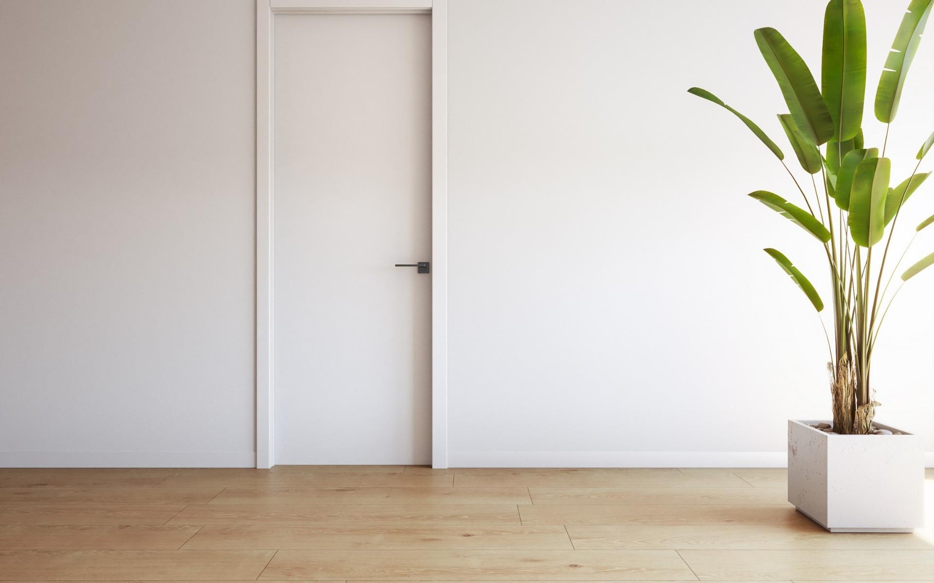 Nieuwbouw - Appartement - Torrevieja - Playa de El Cura