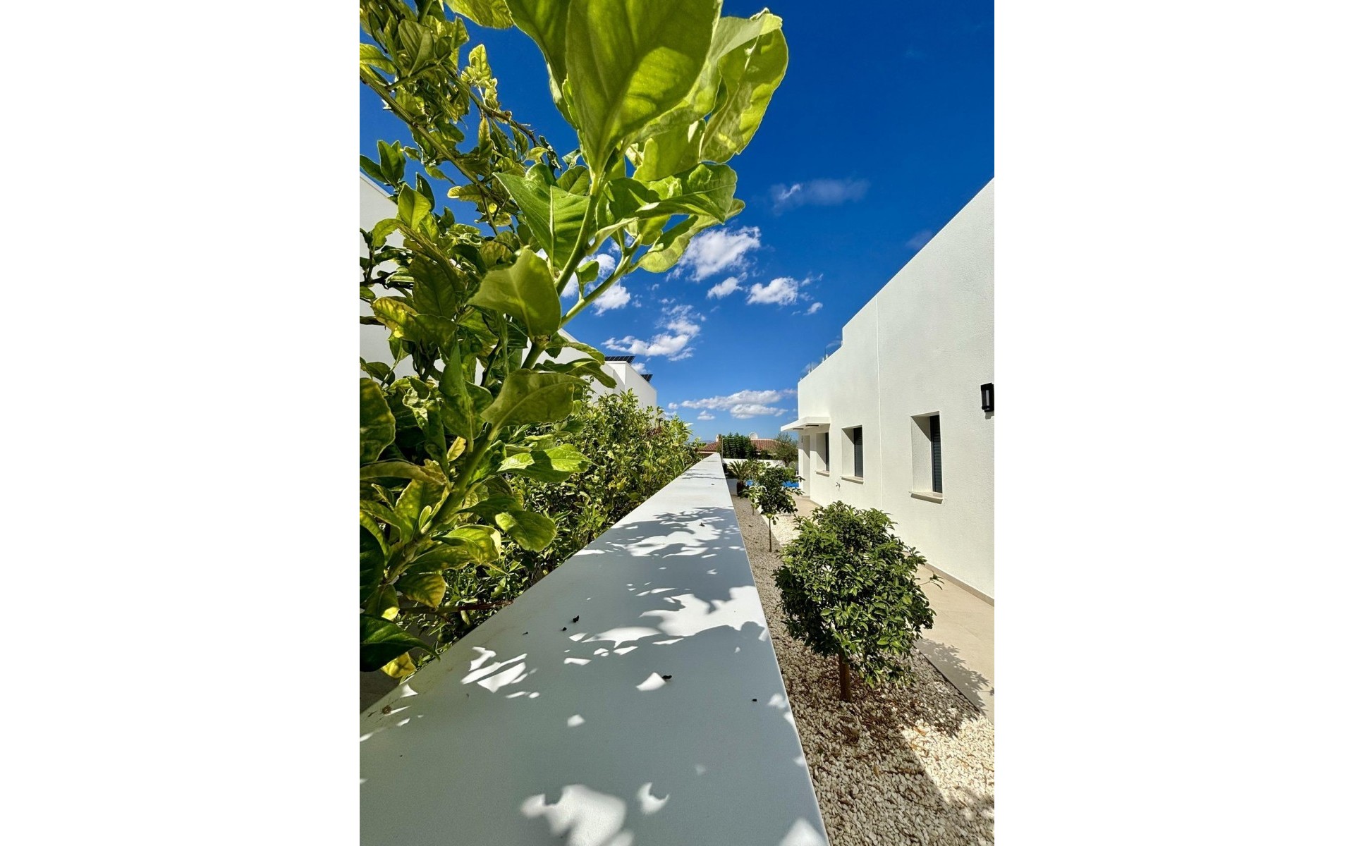 Nieuwbouw - Villa - Benijofar