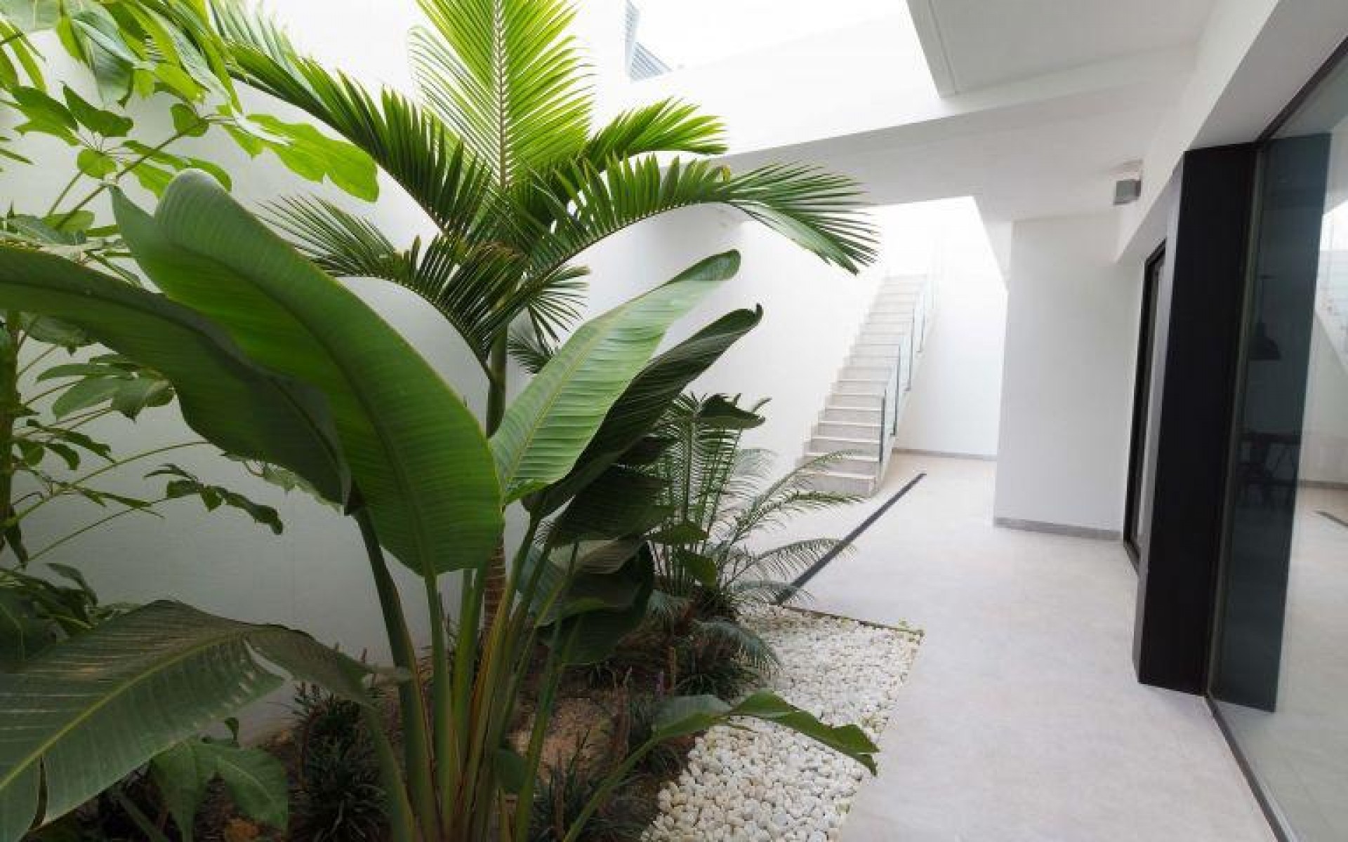 Nieuwbouw - Villa - Finestrat