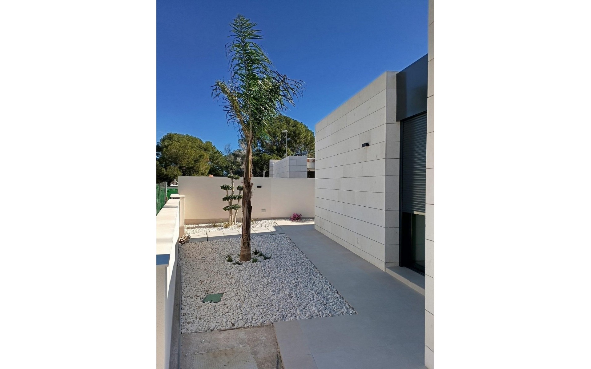 Nieuwbouw - Villa - Pilar de la Horadada - Lo Romero Golf