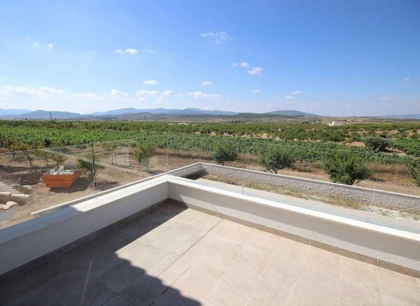 Nieuwbouw - Villa - Pinoso - Camino Del Prado