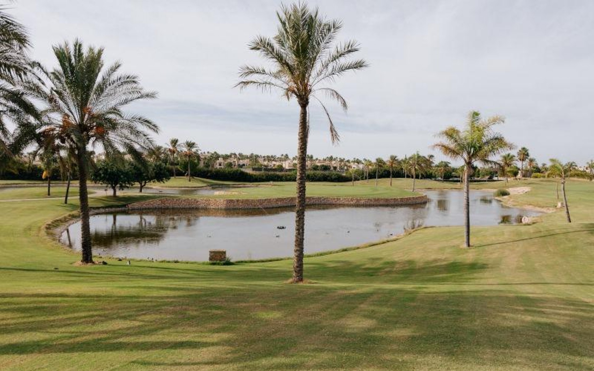 Nieuwbouw - Villa - Santiago De La Ribera