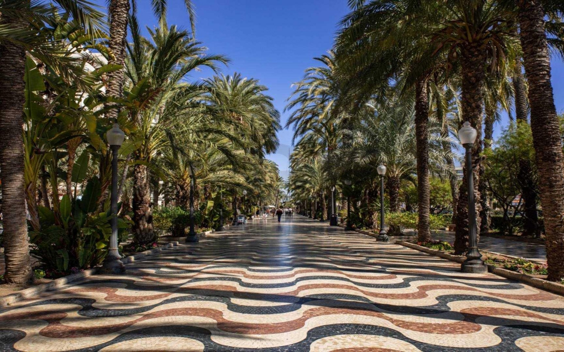 Nouvelle Construction - Appartement - Alicante - Centro