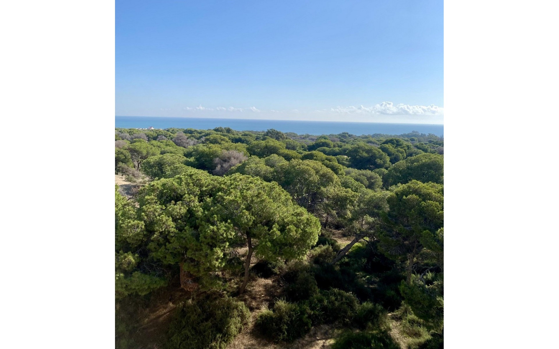 Nouvelle Construction - Appartement - Guardamar Del Segura - Centro