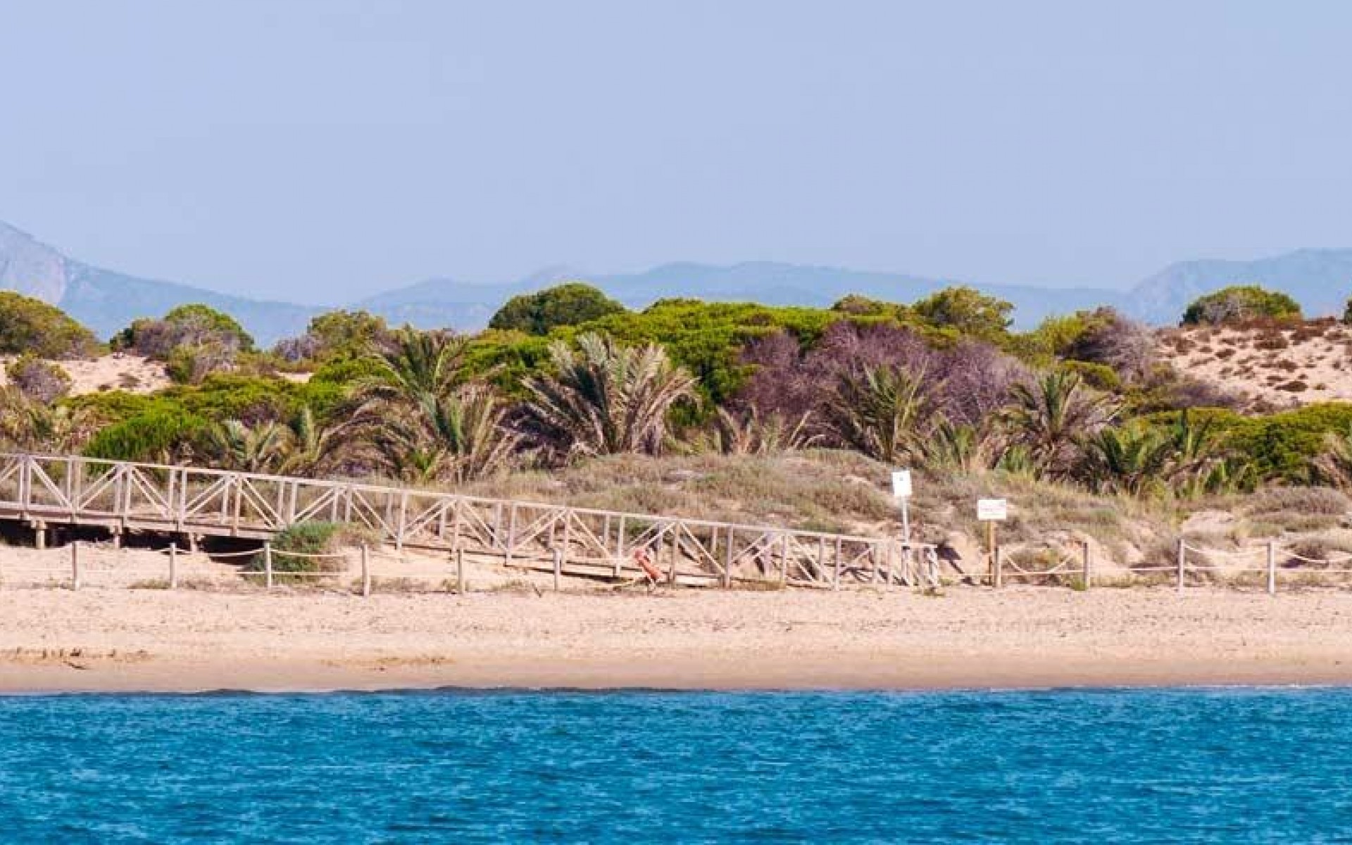 Nouvelle Construction - Appartement - Guardamar Del Segura - Pueblo