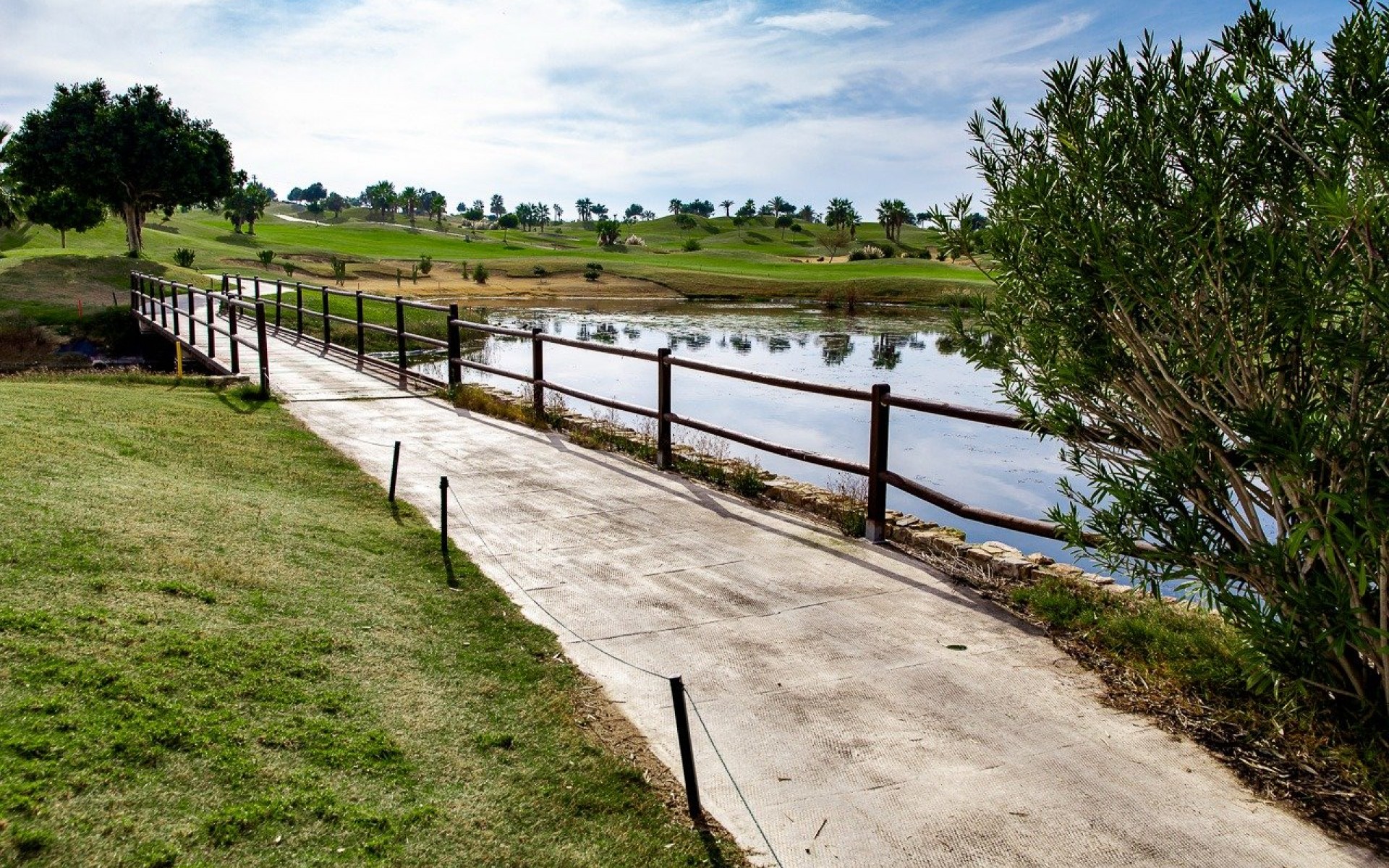 Nouvelle Construction - Maison de ville - Los Montesinos - Entre Naranjos