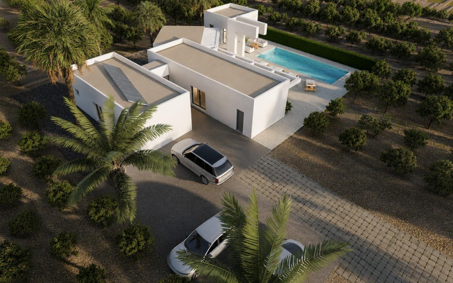 Nouvelle Construction - Villa - Benejuzar - alta