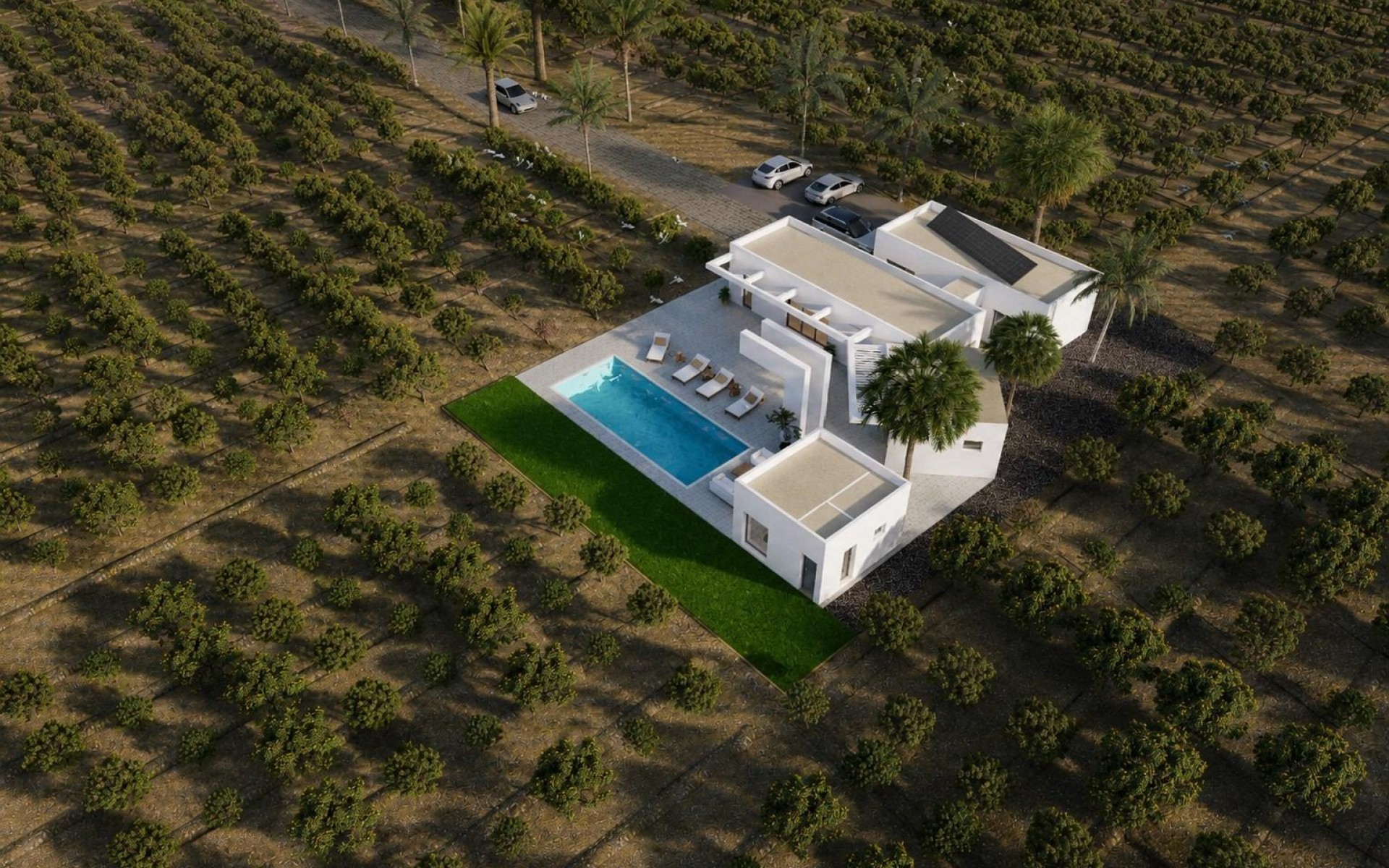 Nouvelle Construction - Villa - Benejuzar - alta