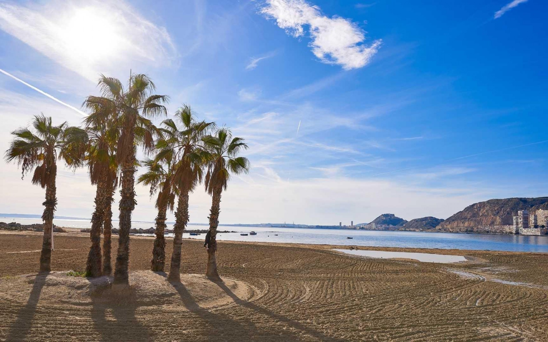 Nouvelle Construction - Villa - Els Poblets - Partida Barranquets