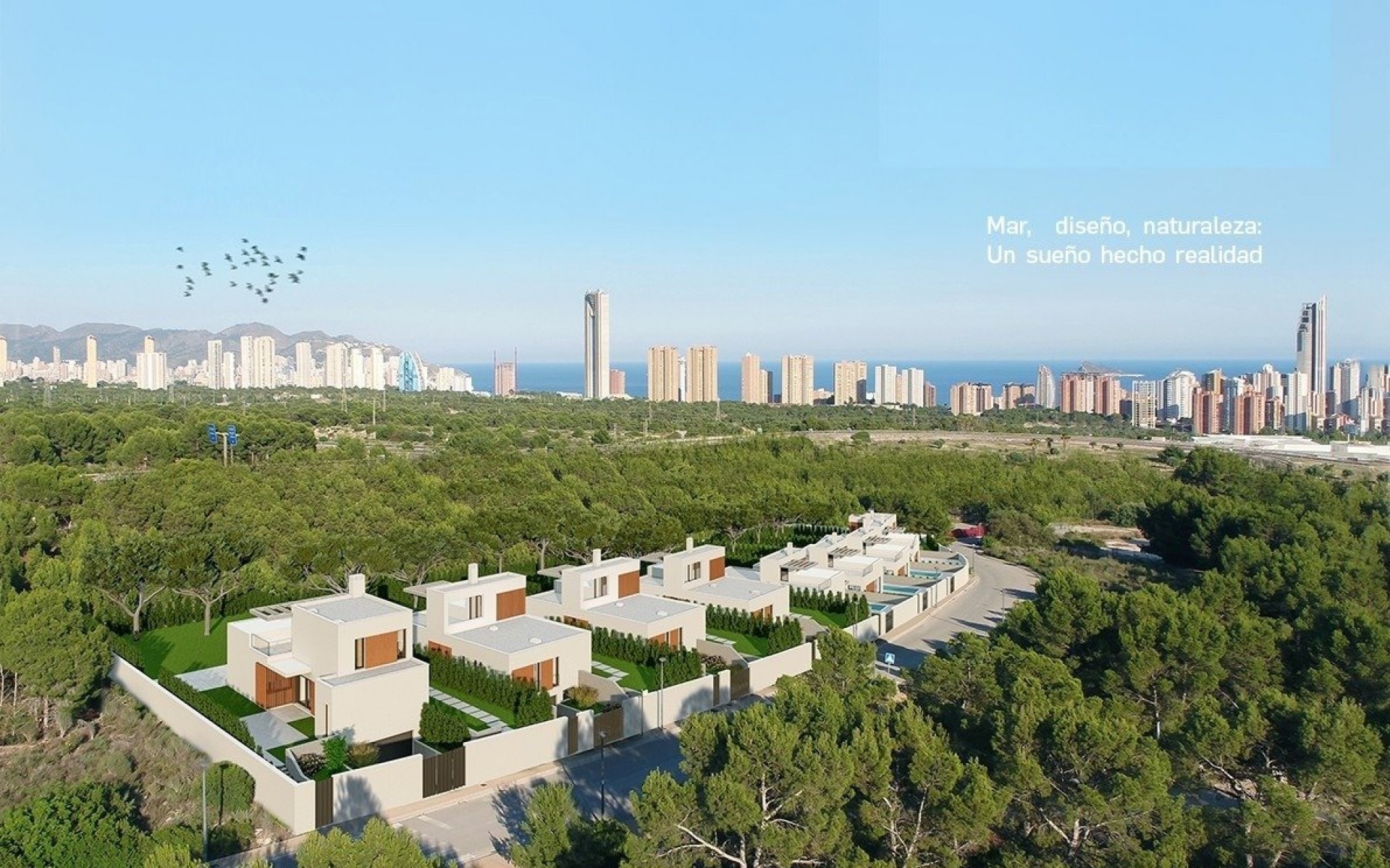 Nouvelle Construction - Villa - Finestrat