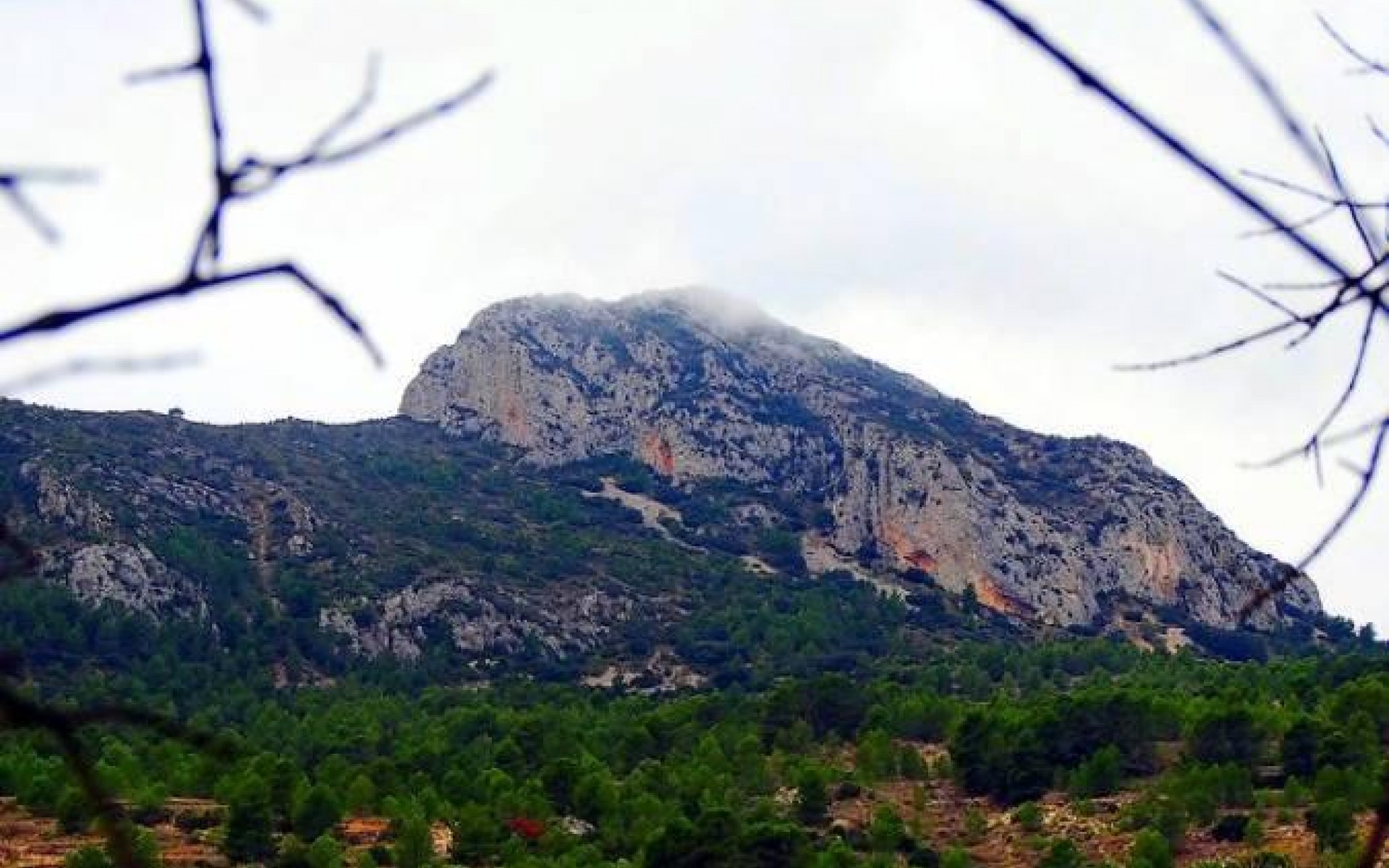 Nouvelle Construction - Villa - La Romana - Batistes