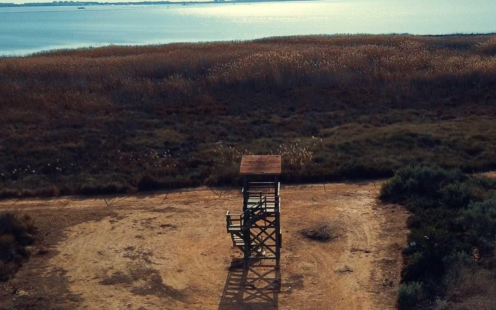 Nouvelle Construction - Villa - Los Montesinos - La Herada