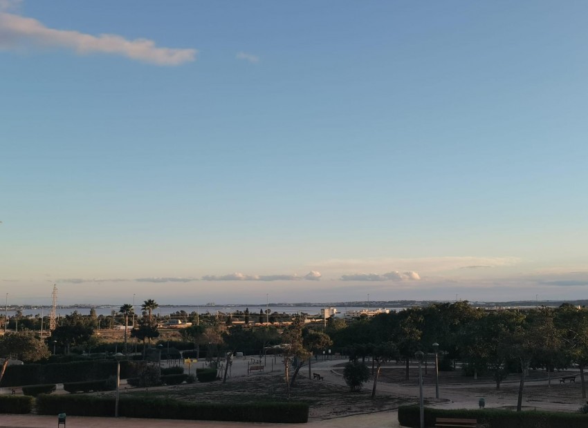 Nouvelle Construction - Villa - Los Montesinos - La Herada