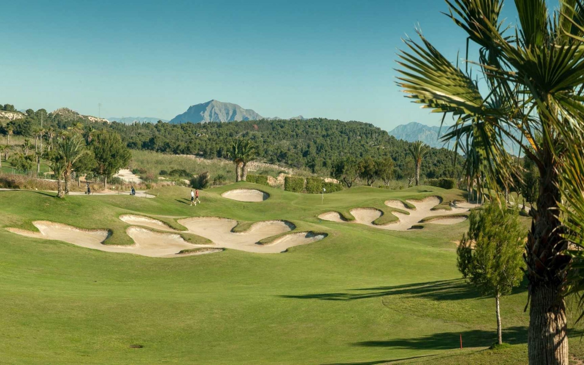 Nouvelle Construction - Villa - Los Montesinos