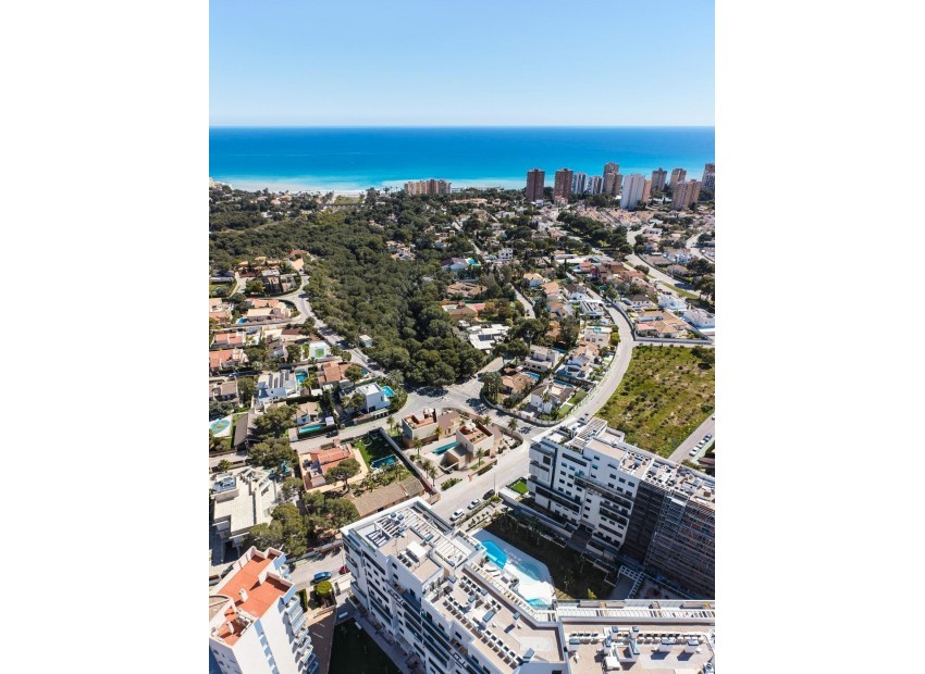Nouvelle Construction - Villa - Orihuela Costa - Dehesa de Campoamor