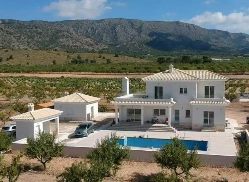 Nouvelle Construction - Villa - Pinoso - Camino Del Prado