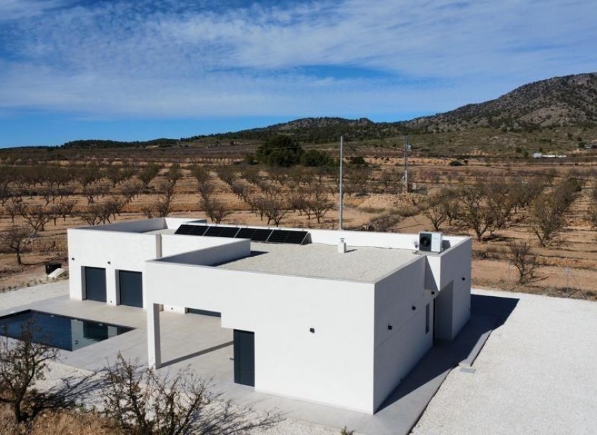 Nouvelle Construction - Villa - Pinoso - Campo