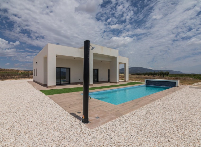 Nouvelle Construction - Villa - Pinoso - Campo