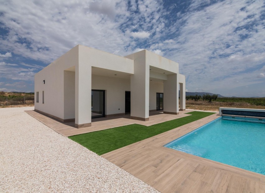 Nouvelle Construction - Villa - Pinoso - Campo