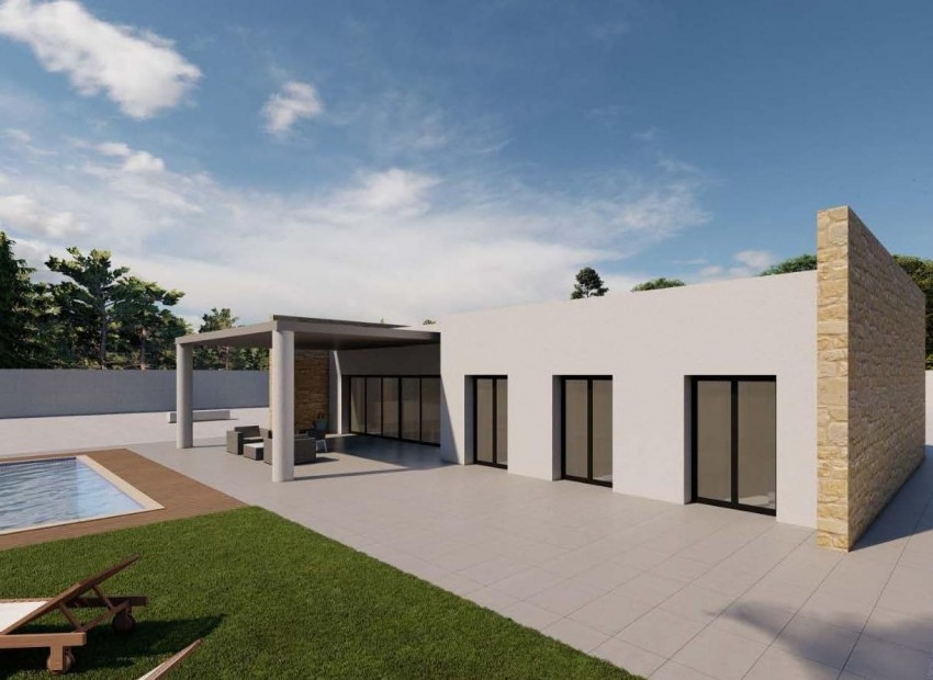 Nouvelle Construction - Villa - Pinoso - Campo